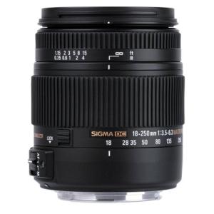シグマ 18-250mm F3.5-6.3 DC MACRO HSM SONY用