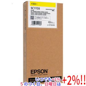エプソン（EPSON） 【純正】 ICGY60 純正プリンターインク 大判