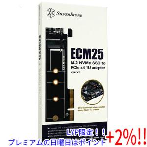 【５のつく日はポイント+3％！】SILVERSTONE インターフェイスカード SST-ECM25 [M.2]｜excellar