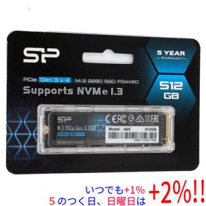 SANWA SUPPLY（サンワサプライ） SSD 256GB TS256GMTE220S