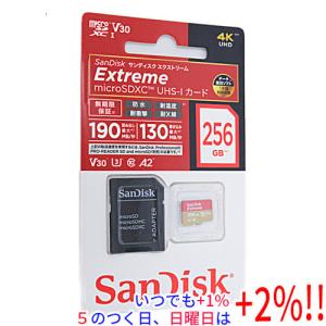 SanDisk - 【新品訳あり(箱きず・やぶれ)】 SANDISK　コンパクトフラッシュ SDCFXPS-128G-J61　128GB SanDisk 【いつでも+1％！5のつく日と日曜日は+2%！】【爆買