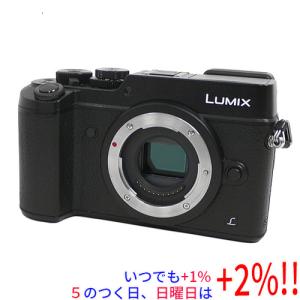LUMIX パナソニック Panasonic DMC-GX1 ボディ ブラック ミラー