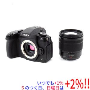 Panasonic（パナソニック） 《美品》Panasonic LUMIX DC-G100DK 標準