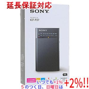 中古 Panasonicパナソニック ポータブル CDプレーヤー SL-CT510 : エス