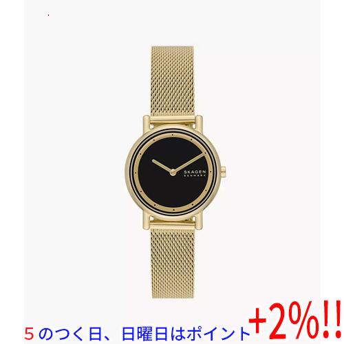 【５のつく日はポイント+3％！】スカーゲン 腕時計 SKW3111