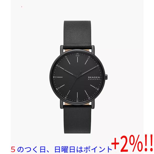 【５のつく日はポイント+3％！】スカーゲン 腕時計 SKW6902