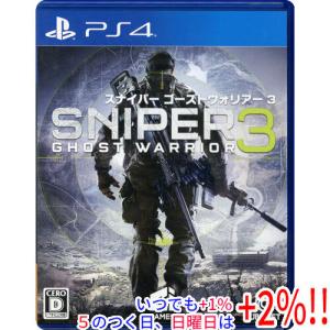 SONY（ソニー） PS4 プレステ4 グランド・セフト・オートV CERO区分_Z
