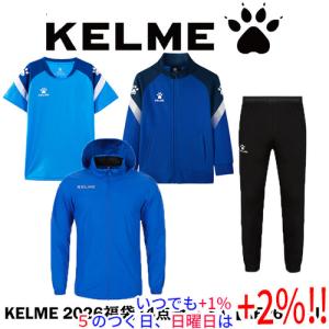 SALOMON（サロモン） 20-21 【スキーケース/在庫処分品】 JP EXTEND