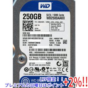 【５のつく日！ゾロ目の日！日曜日はポイント+3％！】Western Digital製HDD WD2500AAKX 250GB SATA600 7200｜excellar