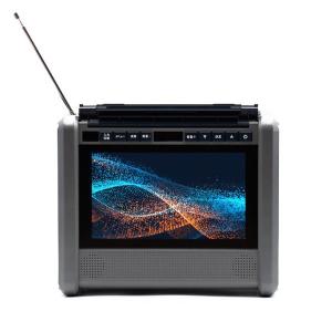 ダイニチ電子 パワーステーションTV 10インチTV/ラジオ搭載 ポータブル電源 PSTV-600