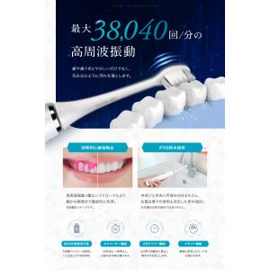 CLEARLABO 電動歯ブラシ 替えブラシ ...の詳細画像4