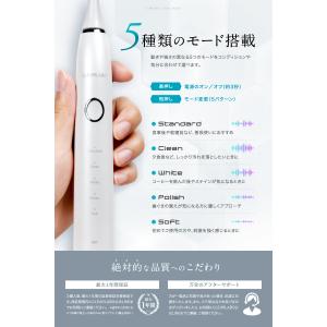 CLEARLABO 電動歯ブラシ 替えブラシ ...の詳細画像5