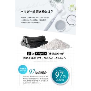 ホワイトニング 歯磨き粉 (国産炭配合 アパタ...の詳細画像2