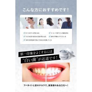 ホワイトニング 歯磨き粉 (国産炭配合 アパタ...の詳細画像3
