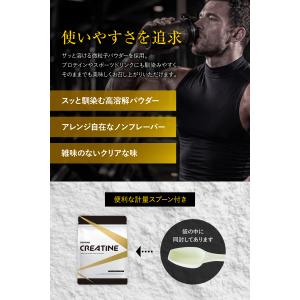 (まとめ買いクーポン配布中) クレアチン モノ...の詳細画像4