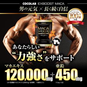 (まとめ買いクーポン配布中) マカ 亜鉛 サプ...の詳細画像1