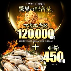 (まとめ買いクーポン配布中) マカ 亜鉛 サプ...の詳細画像3