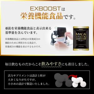 (まとめ買いクーポン配布中) マカ 亜鉛 サプ...の詳細画像5