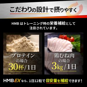 (クーポン配布中) 2袋セット HMB サプリ...の詳細画像4