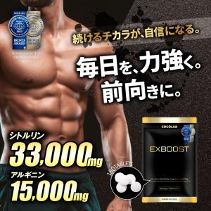 シトルリン アルギニン マカ 亜鉛 サプリ ト...の詳細画像1
