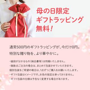 (母の日クーポン配布中) RELX プレミアム...の詳細画像1