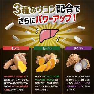 ウコン サプリ 肝臓 サプリ (しじみ約375...の詳細画像4