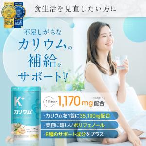 カリウム サプリ 塩化カリウム 1170mg ...の詳細画像1