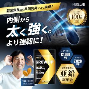 ノコギリヤシ サプリ ノコギリヤシ 12600...の詳細画像1