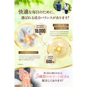 (クーポン配布中) グルコサミン コンドロイチ...の詳細画像3