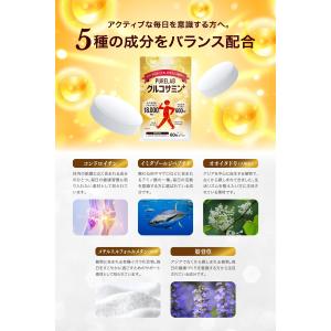 (クーポン配布中) グルコサミン コンドロイチ...の詳細画像4