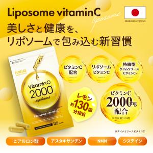 (クーポン配布中) 高濃度×持続型 リポソーム...の詳細画像1
