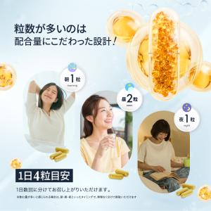 (クーポン配布中) 高濃度×持続型 リポソーム...の詳細画像3