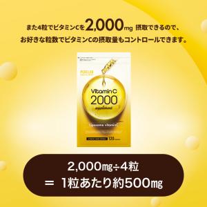 (クーポン配布中) 高濃度×持続型 リポソーム...の詳細画像4