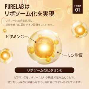 (クーポン配布中) 高濃度×持続型 リポソーム...の詳細画像5
