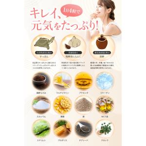 (クーポン配布中) すっぽん黒酢サプリ 純国産...の詳細画像4