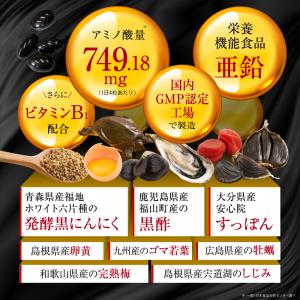 (3袋セット) すっぽん黒酢 サプリ (モンド...の詳細画像2