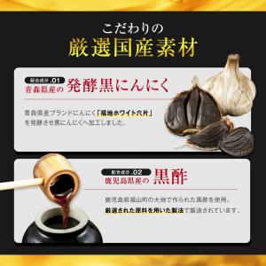 (3袋セット) すっぽん黒酢 サプリ (モンド...の詳細画像5