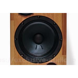 スピーカー アストロ電子企画 SP-2000W...の詳細画像1