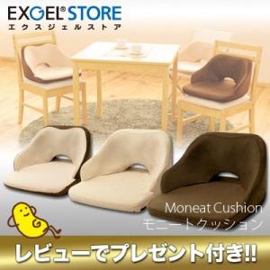 エクスジェル EXGEL モニートクッション MON01 MON02