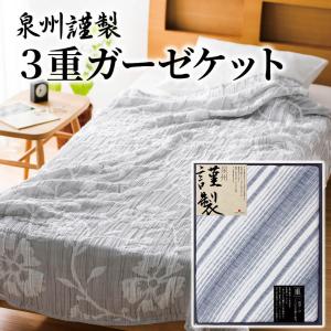 アイリティ 東レ・抗菌防臭わた入肌掛布団2枚セット A2315」 日本製