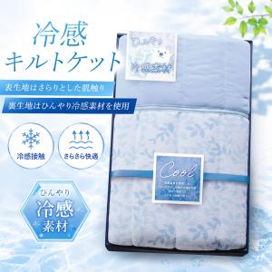 アイリティ 東レ・抗菌防臭わた入キルト肌掛布団2枚セット A2412