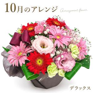 母の日 ギフト 2026「アレンジメント・グラシアス」フラワー母の日 花 