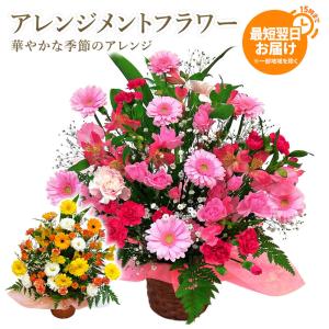 母の日 ギフト 2026「アレンジメント・グラシアス」フラワー母の日 花