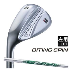 IGNIO（イグニオ） RW ウェッジ ダフっても大丈夫! ロブウエッヂ お
