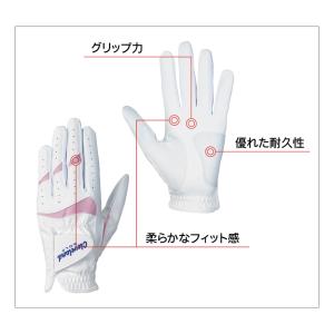 クリーブランド グローブ レディース 両手用 ...の詳細画像3