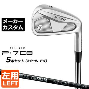 MIZUNO（ミズノ） Mizuno Pro 918 アイアン TS-i カーボンシャフト