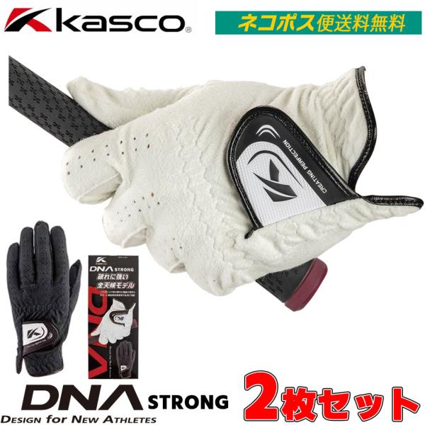 ネコポス便送料無料 2枚セット キャスコ DNA STRONG ゴルフ グローブ 左手用 メンズ S...