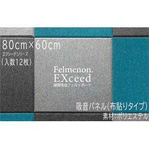 フェルメノンエクシード　吸音パネル45C　布張りタイプ　約80×60×1.1cm（12枚入り）（EX...