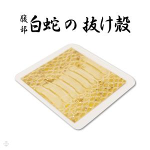 白蛇 腹部 抜け殻 白ヘビ ラミネート 開運 金運アップ 祈願済み 白蛇 腹部 抜け殻 白ヘビ ラミネート 開運 金運アップ 祈願済み