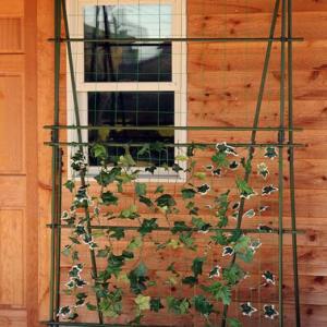 緑のカーテン 支柱 ネット Diy 工具 の商品一覧 通販 Yahoo ショッピング